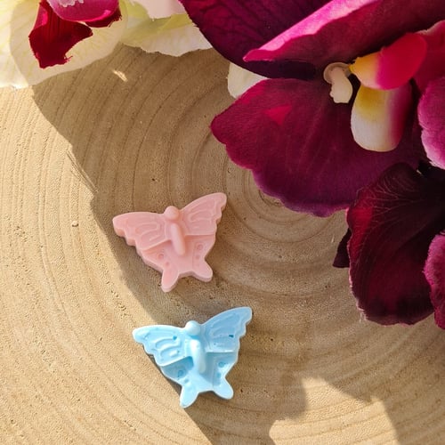 ميني فراشات