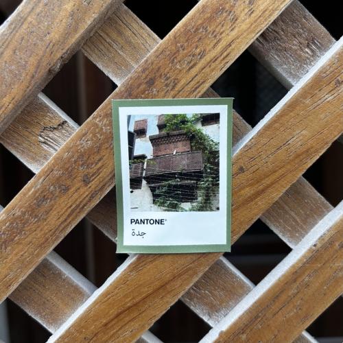 ملصق جدة بانتون - ليل