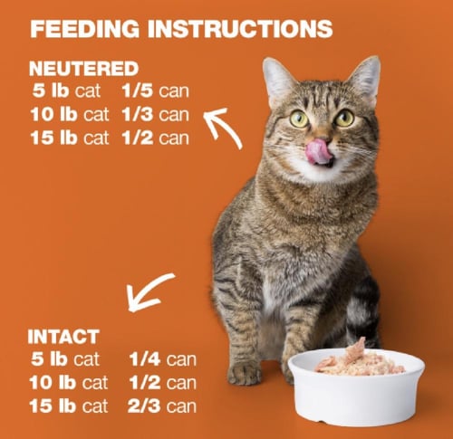 ناتشرال كود 02 معلبات الدجاج والجمبري للقطط 85جرام