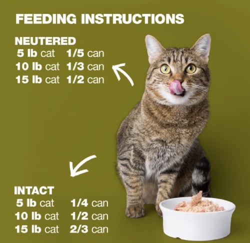 ناتشرال كود 34 تونا وكيوي بالجيلي للقطط85جرام