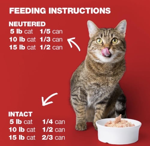 ناتشرال كود 04 الدجاج وتونا للقطط 85جرام