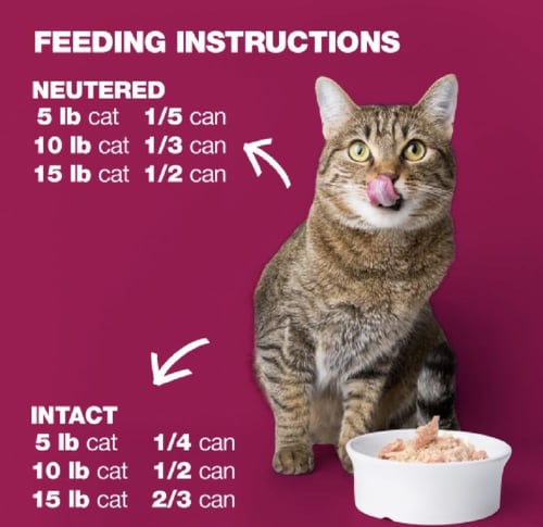 ناتشرال كود 31 الدجاج والجزر بالجيلي للقطط85جرام