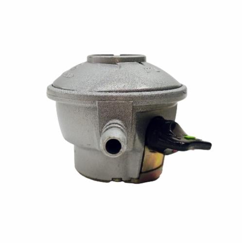 منظم 50 بار ايطالي ريكا