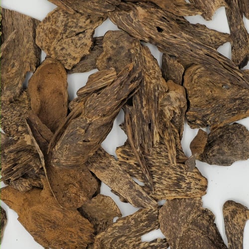 عود سيلاني الصفوة