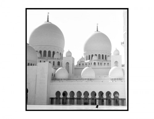 جامع الشيخ زايد - نسخ محدودة