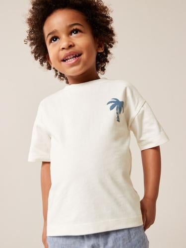 Next boy T-shirt