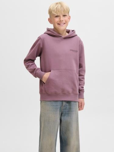 Jack & Jones Boys' hoodie