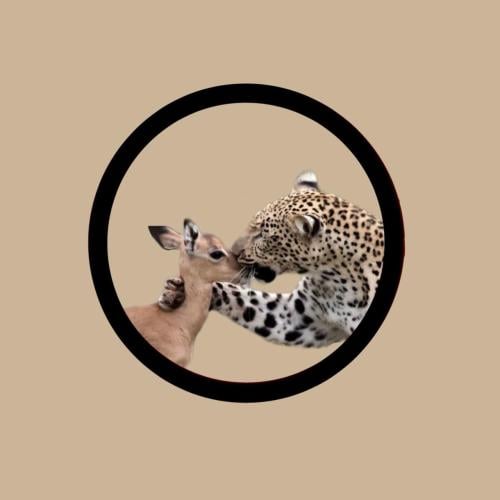 طلب خاص 2 charms