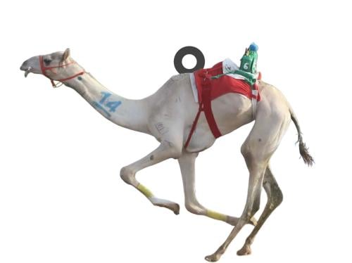 طلب خاص 2 charms