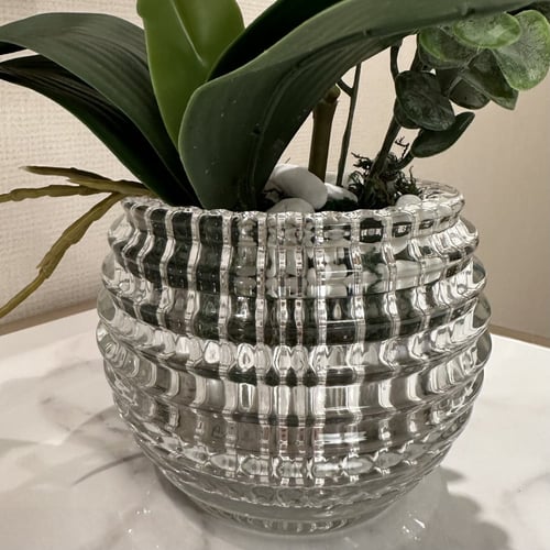 فازة ورد الاوركيد البيضاء