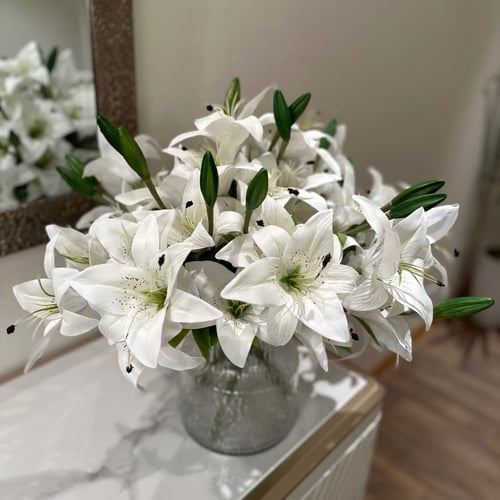 فازة الكازابلانكا