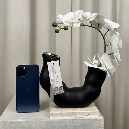 فازة ومبخرة الاوركيد (لون أسود)