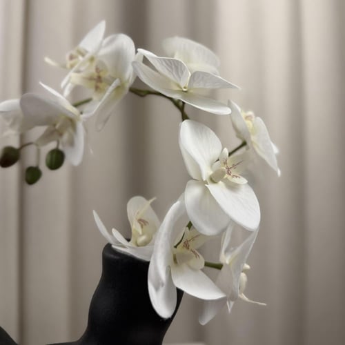 فازة ومبخرة الاوركيد (لون أسود)