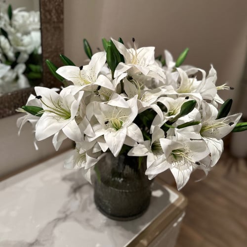 فازة الكازابلانكا