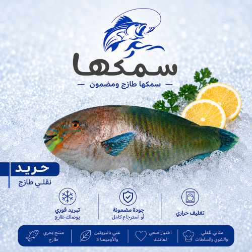 سمك حريد نقلي طازج - السعر للكيلو