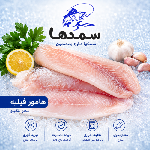 فيليه هامور - Hamour Fillet- السعر للكيلو