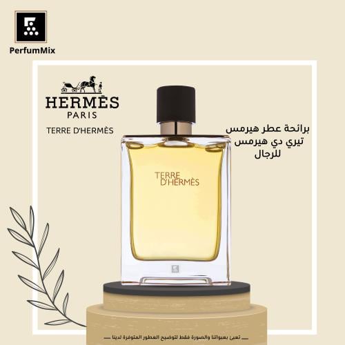 تيري دي هيرمس