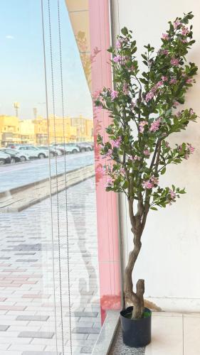 شجرة ورد وردي