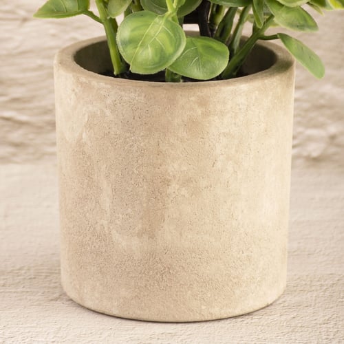 فازة زهور وردي