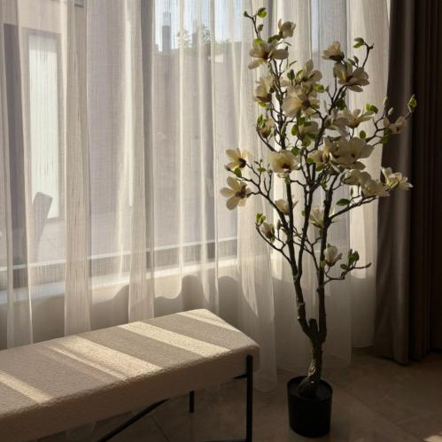 شجرة ورد أبيض