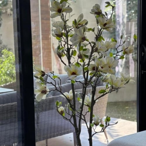 شجرة ورد أبيض