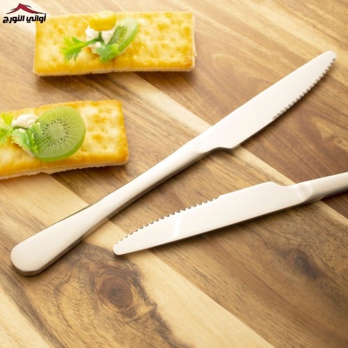 طقم سكاكين آكل 6 قطع فضي