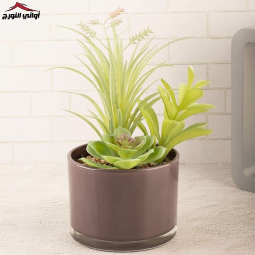 فازة زهور بنفسجي