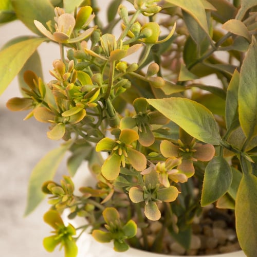 فازة زهور أخضر برتقالي