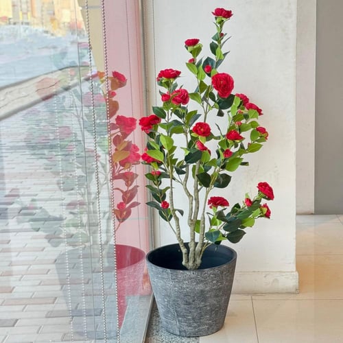 حوض بلاستيك للشجر رمادي غامق