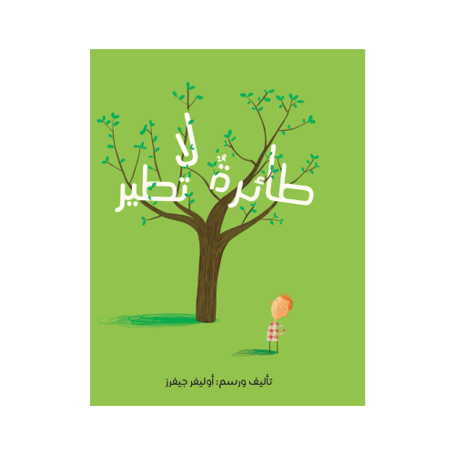 طائرة لاتطير
