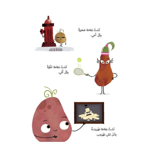 بطاطا الكنبه