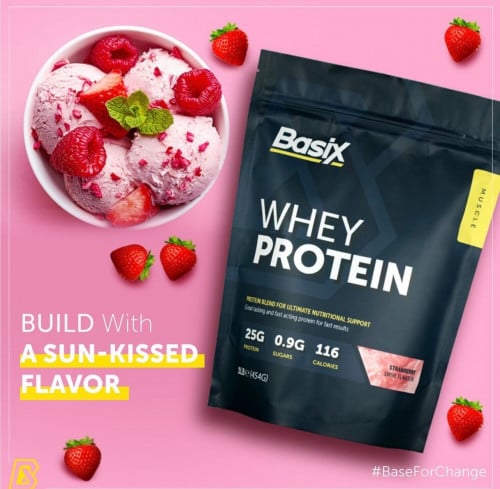 واي بروتين بيسك حجم صغير 1باوند