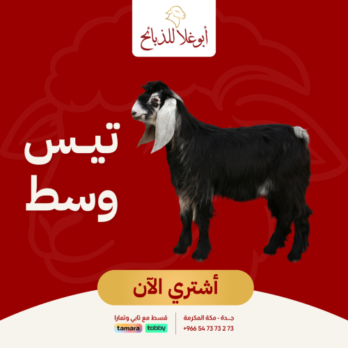 تيس وسط