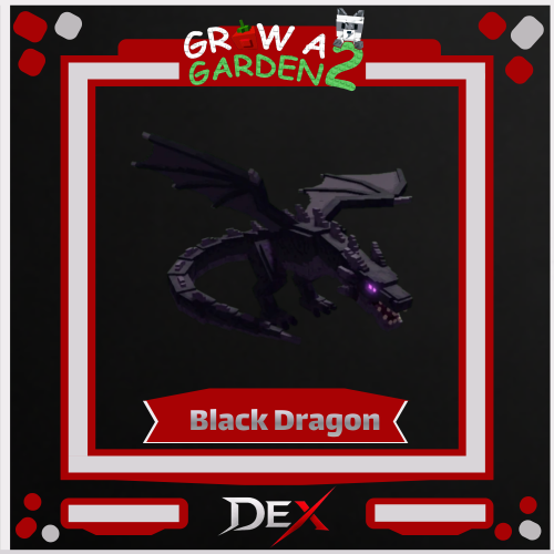 Black Dragon