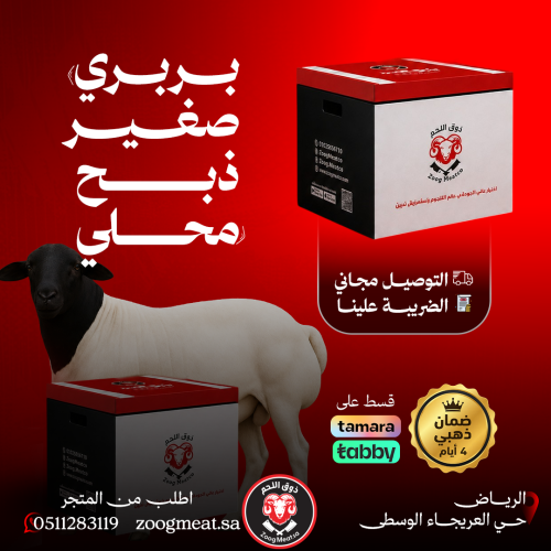 خروف بربري صغير ذبح محلي وزن 8–10 كيلو