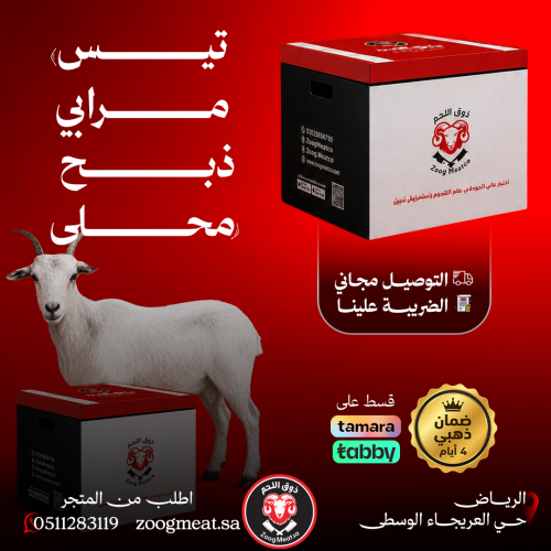 تيس مرابي ذبح محلي وزن 10–15 كيلو