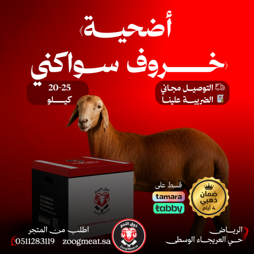 أضحية خروف سواكني من 20-25 كيلو