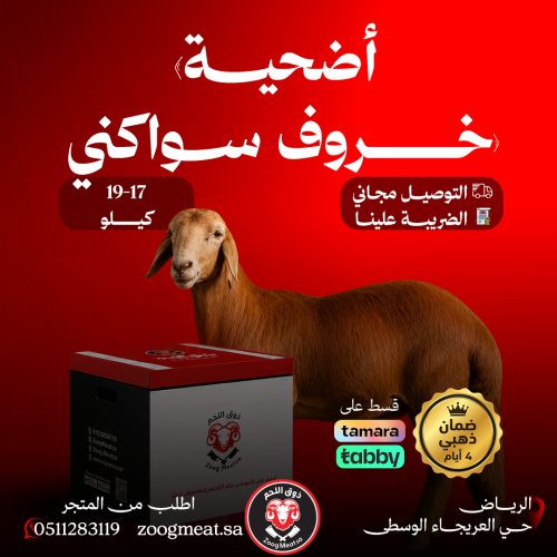 أضحية خروف سواكني 17-19 كيلو