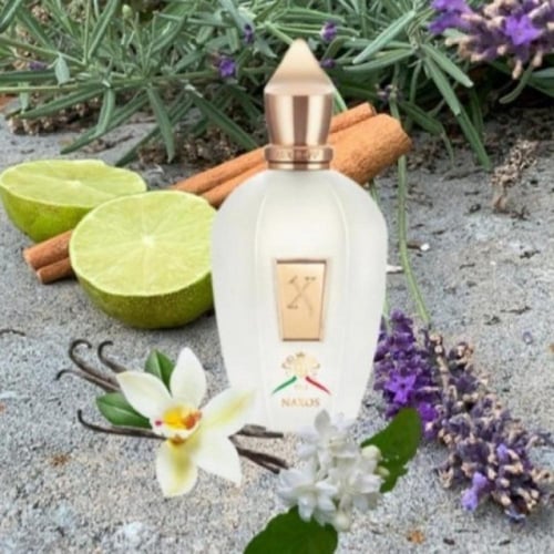 عطر زيرجوف XJ ناكسوس او دو بارفيوم 100مل