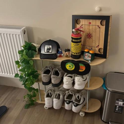 skateboard shelves
