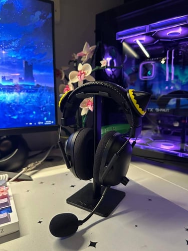 زينه انيا فورجر