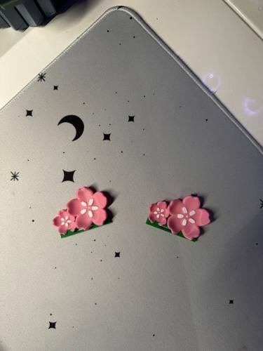 زينه ساكورا