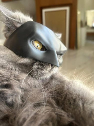 قناع باتكات للقطط