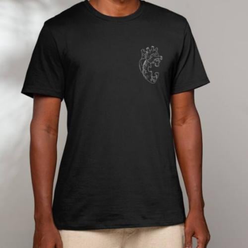 تشيرت القلب