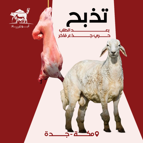 حري جذع فاخر