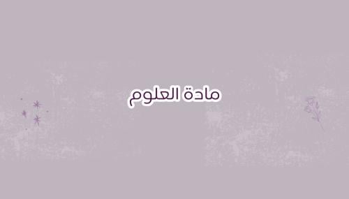 النبات وأجزاؤه