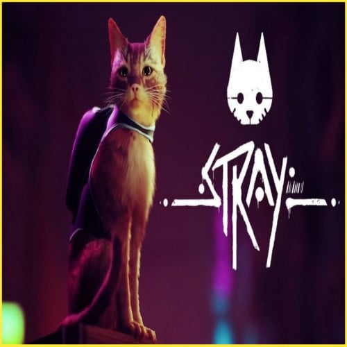 لعبة القطة Stray ستيم PC