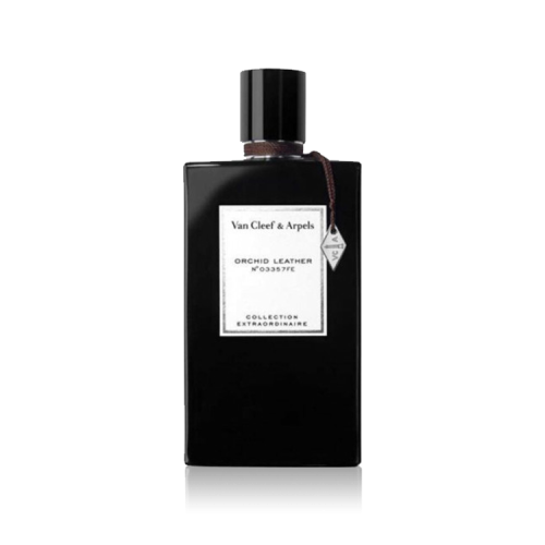 عينة (بأحجام متنوعة) فان كليف اوركيد ليذر