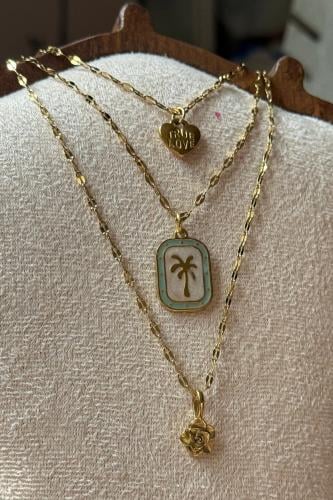 سلسال نخلة.