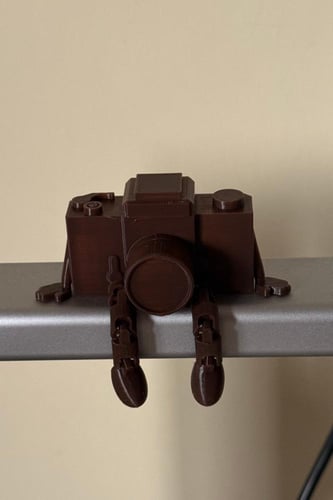 كاميرا ديكور .